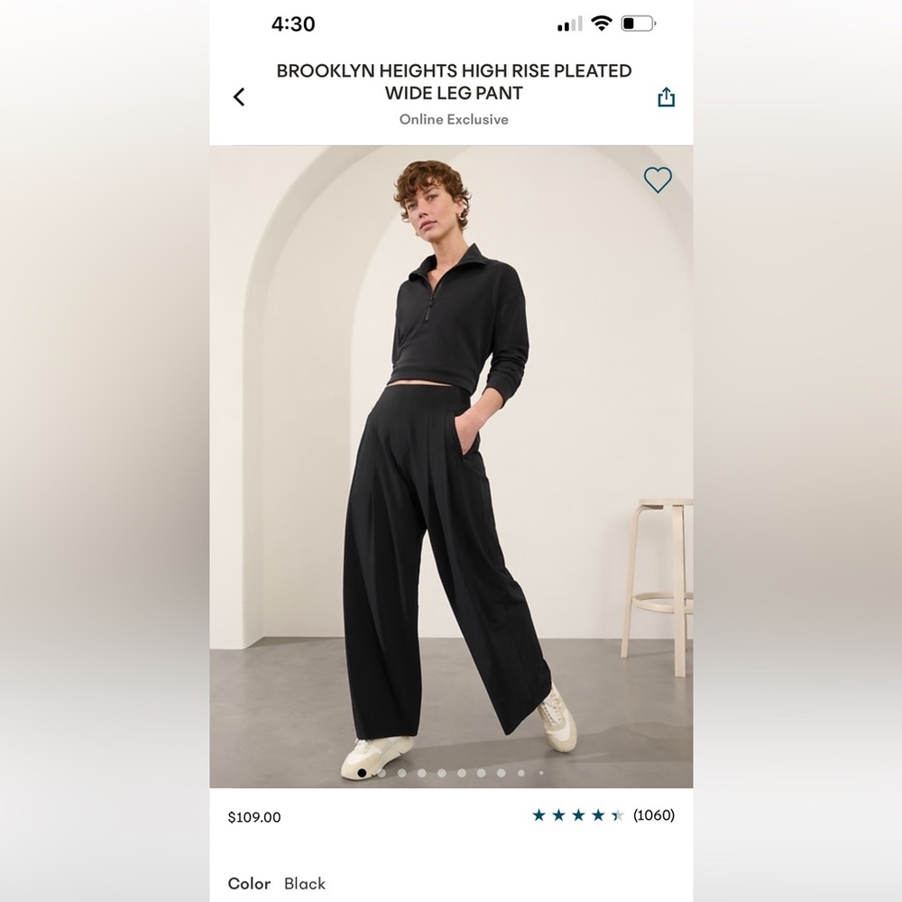 Brooklyn Heights pleaded wide leg pants